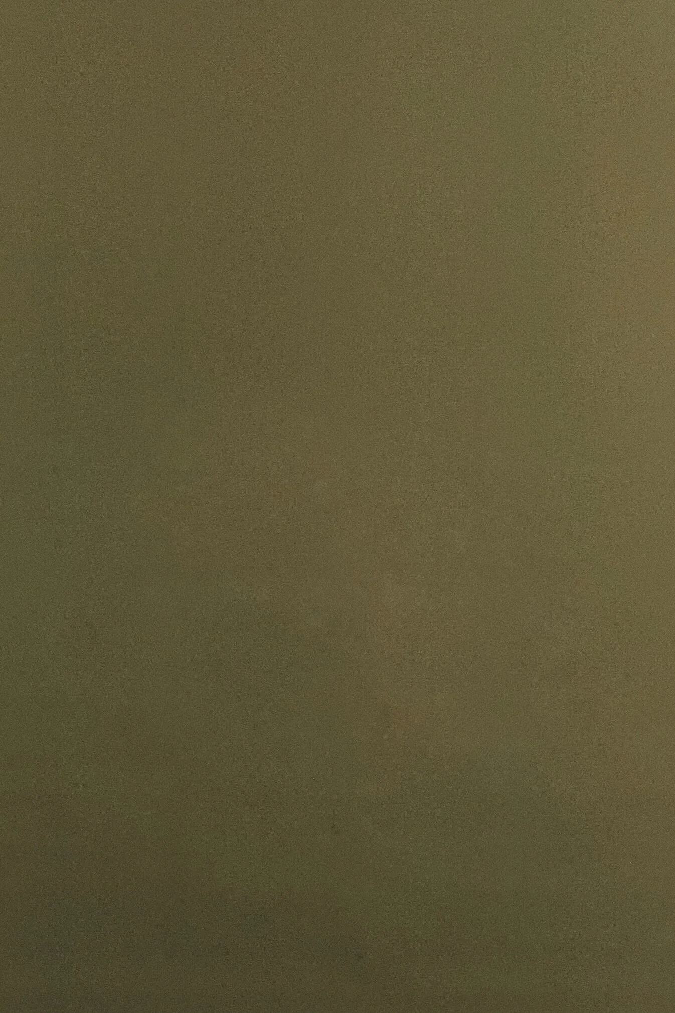 zielone tło fotograficzne